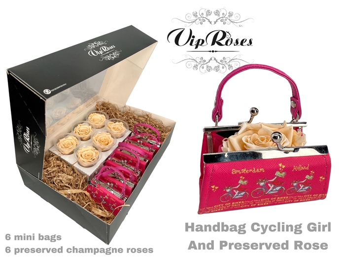 HANDBAG CYCLING GIRL AND PRESERVED CHAMPAGNE ROSE