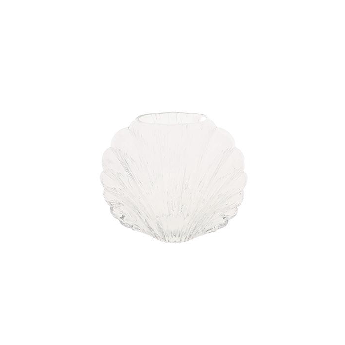 <h4>Vase Shell Capri L20W9.5H16.5</h4>
