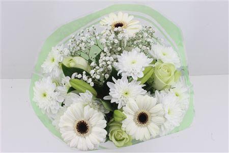 <h4>Boeket 3 Roos 3 Germini Wit</h4>