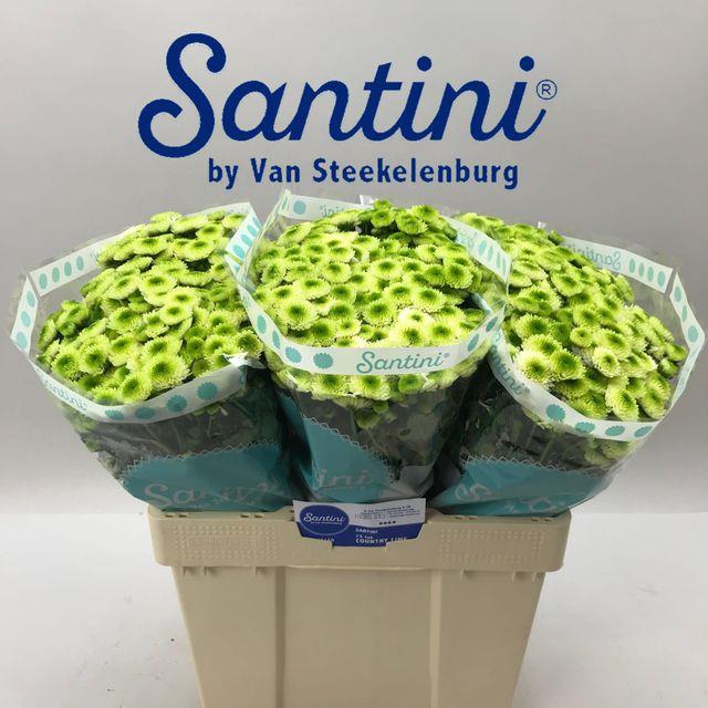 CHR SAN COUNTRY LIME