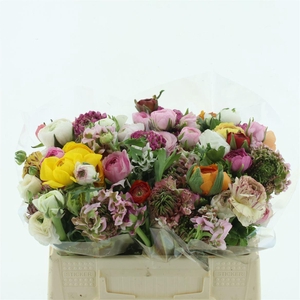 Ran Cloni Pon Mix In Bucket