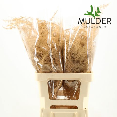 <h4>Snijgroen Salmon Extra Veren Water</h4>