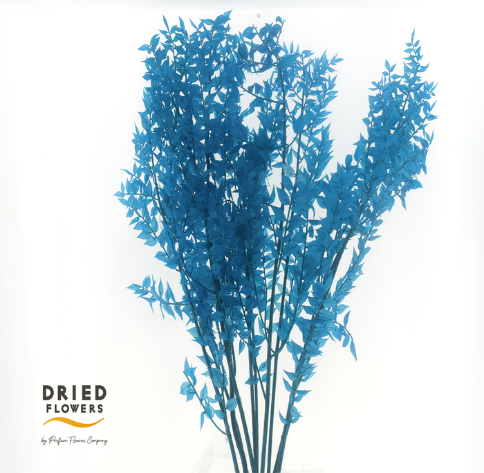 <h4>Dried Bleached Ruscus Dark Blue</h4>