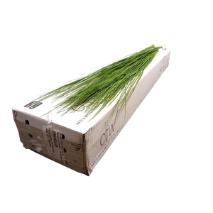 Steelgrass X35 Premium