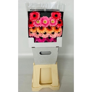 GE MI GEM Pastelmix - Diamond * 80