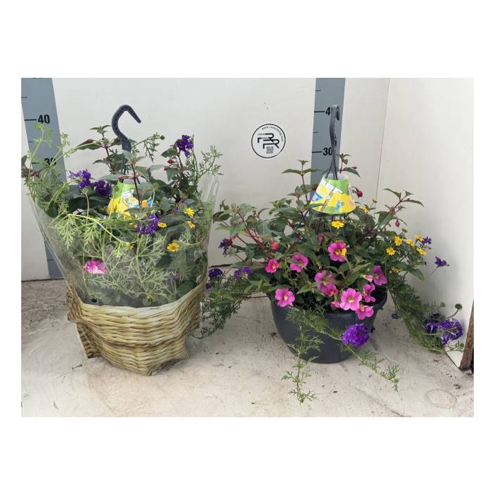 <h4>Hanging Baskets</h4>