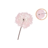 Silk Dandelion Pink 91cm