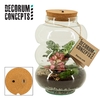 Terrarium Pluto medium met oplaadbare led (Decorum concepts)