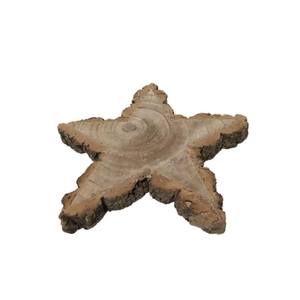 PAULOWNIA STER MET SCHORS 20CM H3