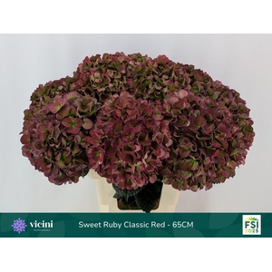 HYDR M MAG SW RUB CL