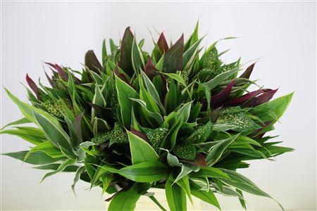 <h4>Asia Mix 10stems A Bunch</h4>