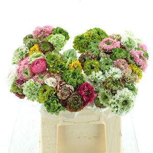 Ran Ponpon Mix Extra