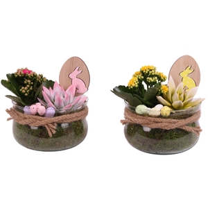 Easter Arr. Indoor Glass Bowl with Rope Ø16cm 3PP