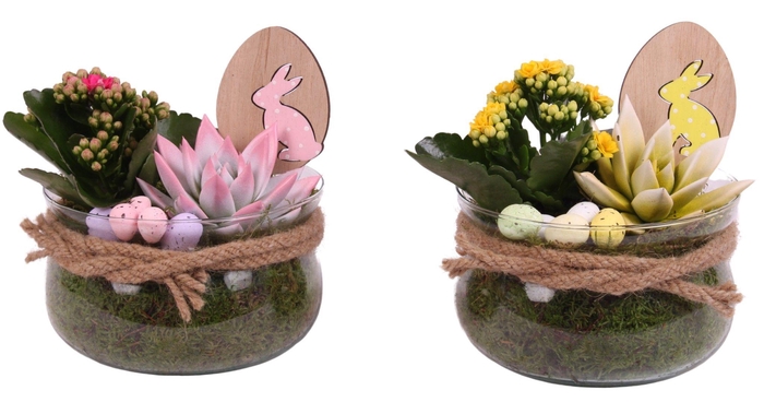 <h4>Easter Arr. Indoor Glass Bowl with Rope Ø16cm 3PP</h4>