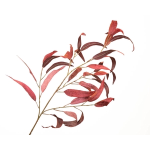 Eucalyptus Velvet Bordeaux