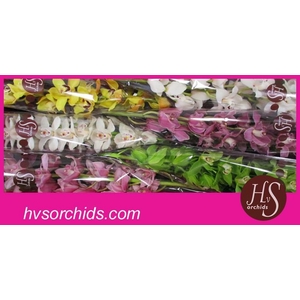 CYMB T GEMENGD 80 CM