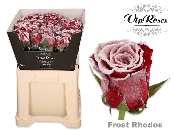 R GR FROST RHODOS