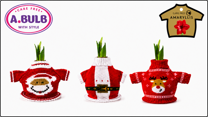 <h4>A.BULB with Style - 32cm Christmas Red Mix</h4>