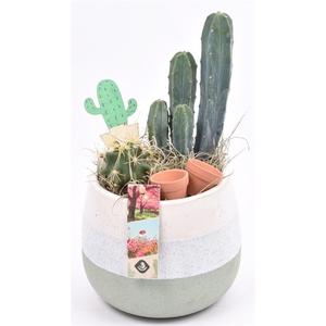 Keramiek pot wit/gr 14-15cm