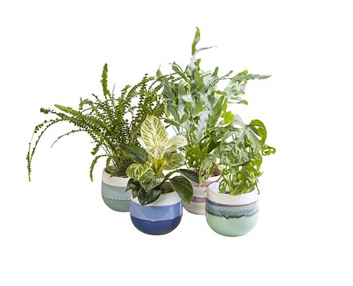 L 65884 Green Mix P10,5