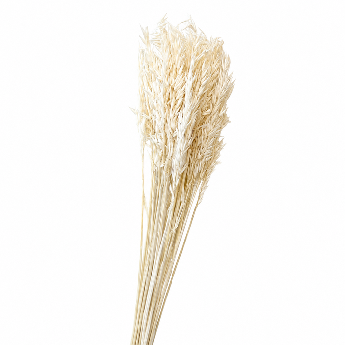 <h4>Dried Bleached Wheat</h4>