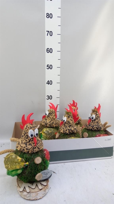 <h4>Decoratie  ..Vogelzaadfiguur  H%</h4>