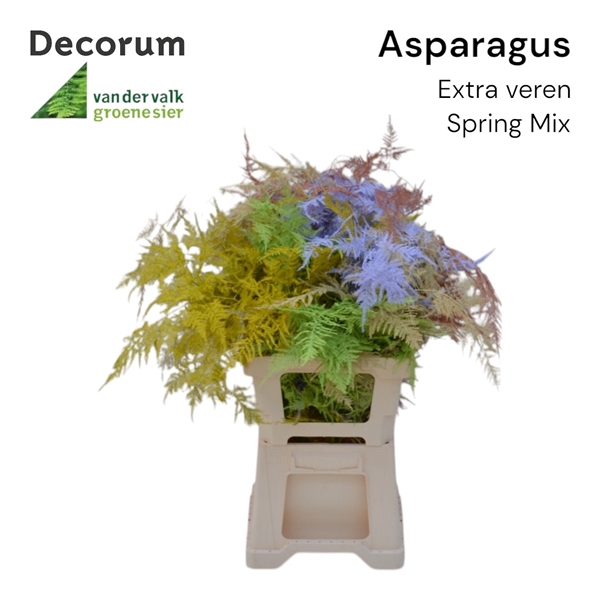 <h4>Asp extra veren Spring mix</h4>