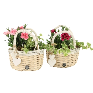 21889: Love outdoor arrangement