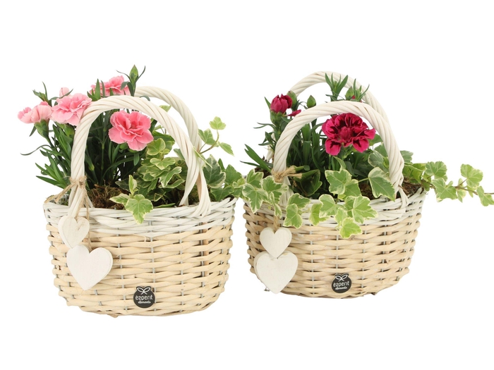 <h4>21889: Love outdoor arrangement</h4>