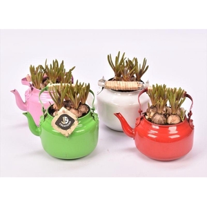 Zink thee pot in 4 kleuren mix