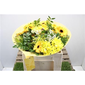 Gem Boe Middel Geel 25 Stelen Vers