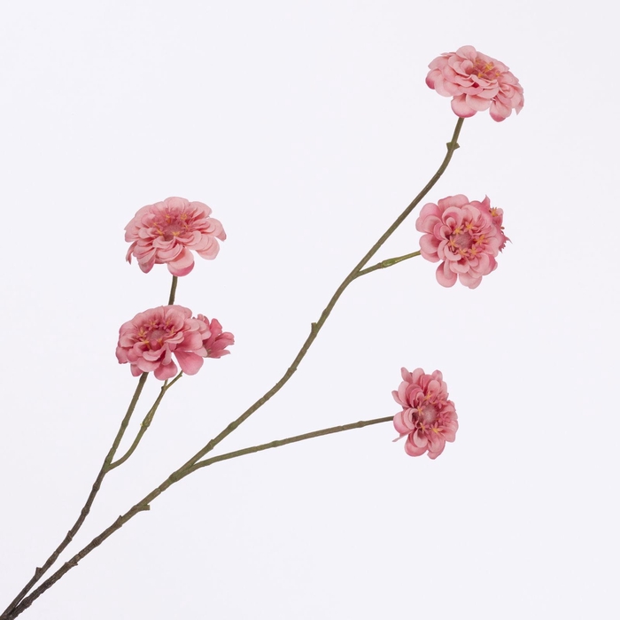 <h4>Zinnia Spray Pink FL440346PNK</h4>