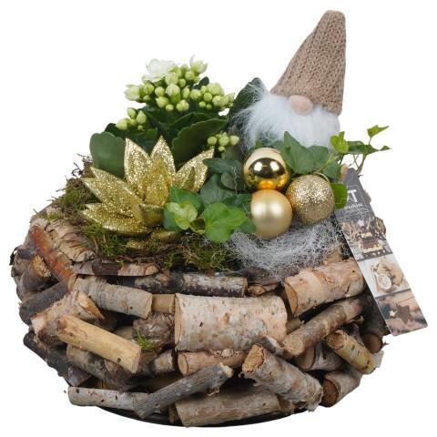 <h4>PTCHG5680 Arrangementen Kerst</h4>