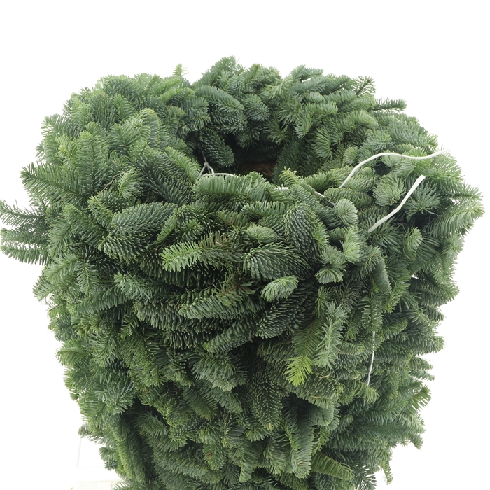 <h4>NOBILIS-KRANS H%</h4>
