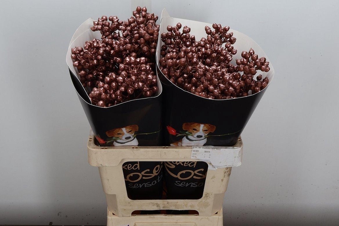 <h4>Rosa Bottel Wx Koper Fijn</h4>