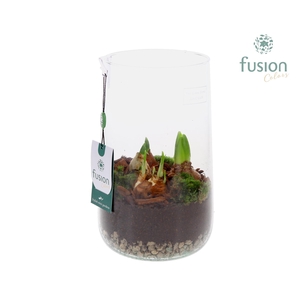 Green Bottle Deline Large met Bollen mix