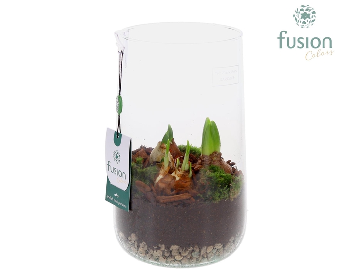 <h4>Green Bottle Deline Large met Bollen mix</h4>