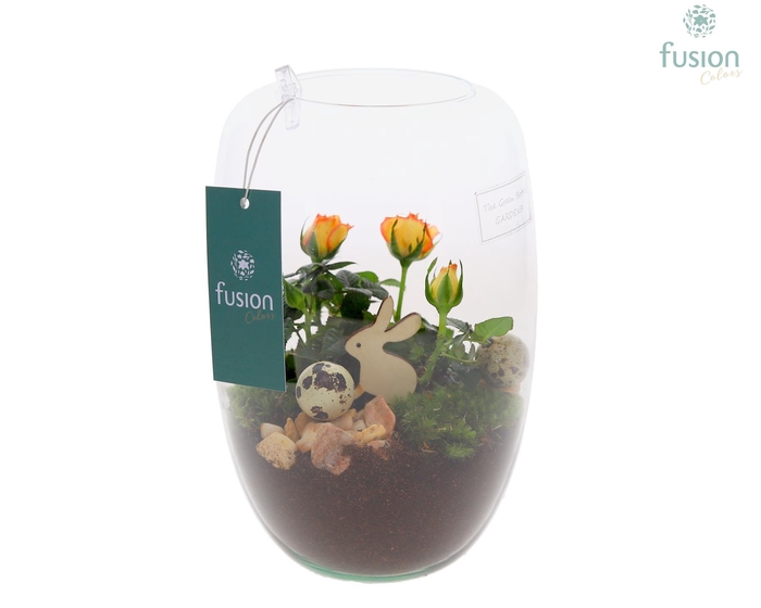 <h4>Green Bottle Isabella Small Pasen met arrangement</h4>
