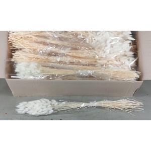 DF Lagurus Bs Bleached 50g