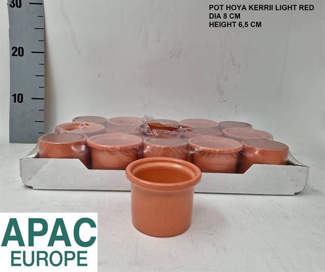 DECO POT LIGHT TERRACOTTA 8CM