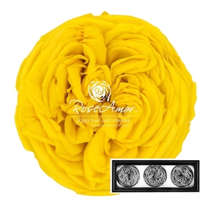 Kabukyza Per 3 Yel02