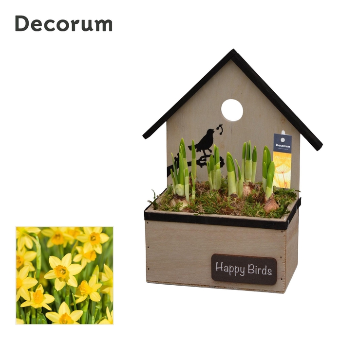 <h4>Narcis Birdhouse HL15733N</h4>