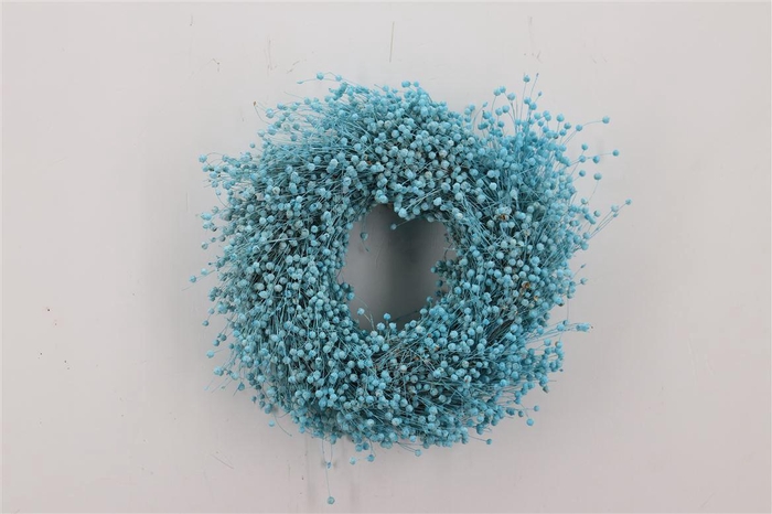 <h4>Wr Vlas 30cm Blue</h4>