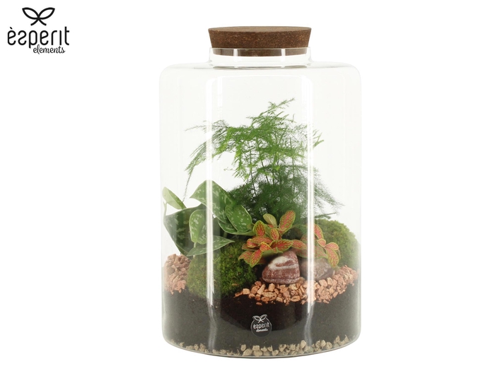 <h4>90881: Terrarium arrangement</h4>