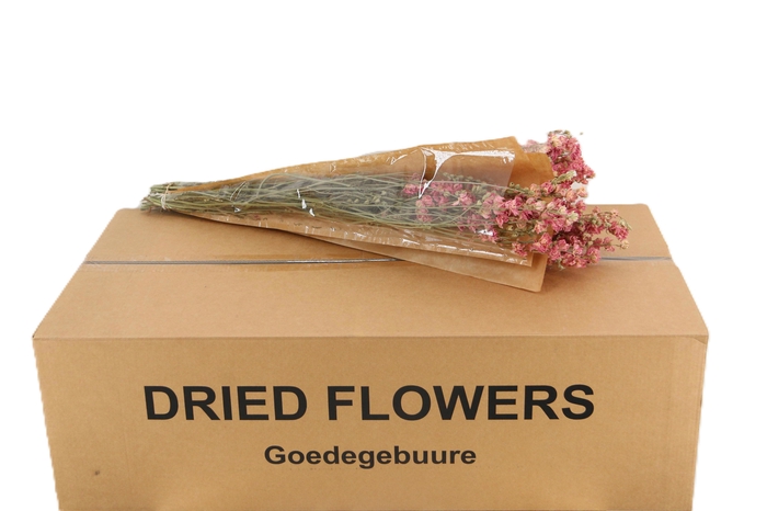 <h4>DROOGBL BEWERKT H%</h4>