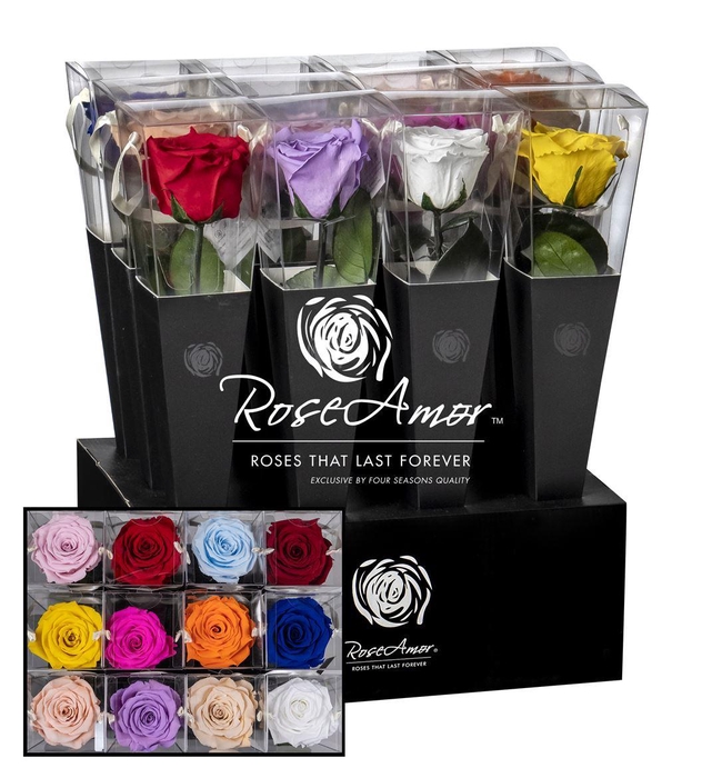 <h4>Lori 30cm Assorted</h4>