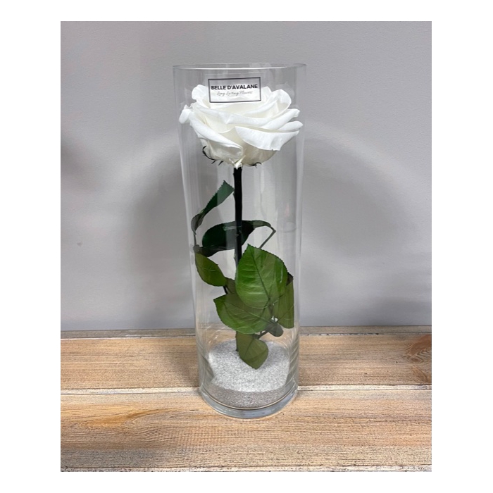 <h4>Cilinder d10x30h wit glas</h4>