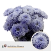 Chr T Altaj Soft Milka