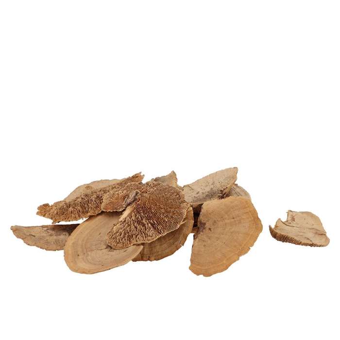 <h4>Nature Sponge Mushrooms Mix Naturel 500gr</h4>
