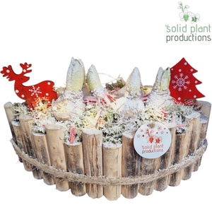 HXH006 Napoli Large Hyacint +LED